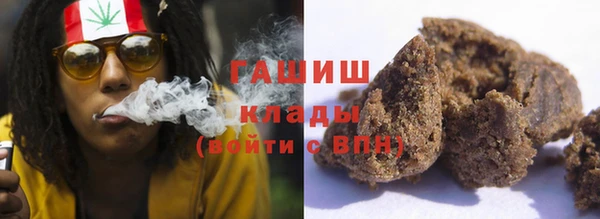 шишки Новодвинск