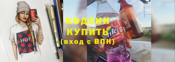 шишки Новодвинск