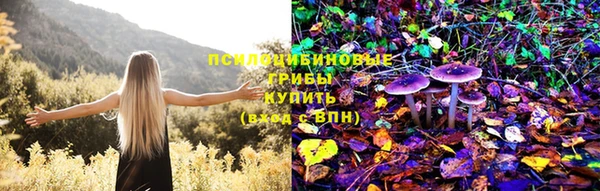 шишки Новодвинск