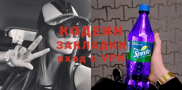 шишки Новодвинск