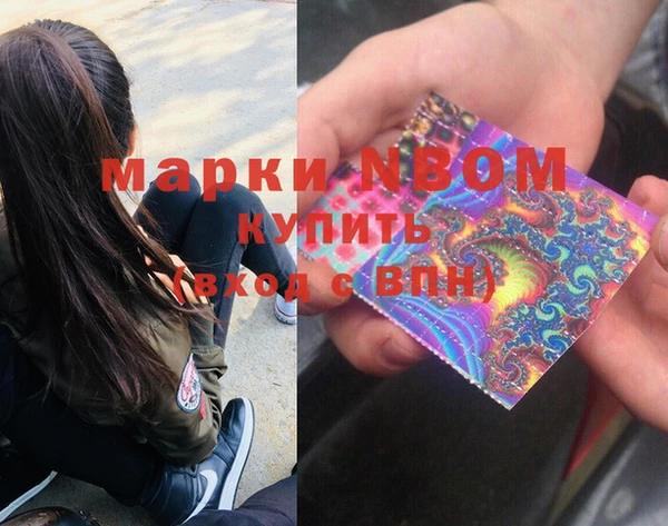 трава Новозыбков